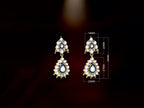 Blue Drop Dangle Earrings